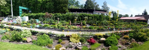 20130609_121620.jpg